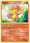 Carte Magby 46/95