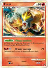 Carte Entei SL3/95