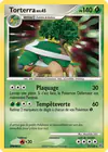 Carte Torterra 17/130
