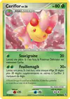 Carte Ceriflor 45/130