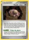 Carte Fossile crâne 117/123