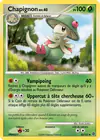 Carte Chapignon 45/132