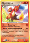 Carte Reptincel 46/132