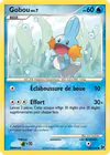 Carte Gobou 80/106