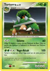 Carte Torterra 30/100