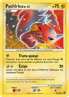 Carte Pachirisu 43/100