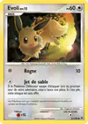Carte Évoli 63/100