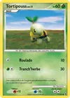 Carte Tortipouss 77/100