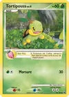 Carte Tortipouss 78/100