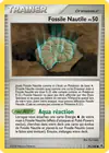 Carte Fossile Nautile 91/100