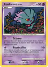 Carte Feuforeve 107/146