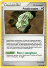 Carte Fossile racine 139/146