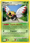 Carte Ninjask 67/146