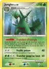 Carte Jungko 10/100