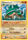 Carte Torterra 11/100