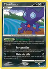 Carte Ténéfix 48/100