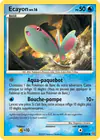 Carte Ecayon 61/100