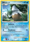 Carte Blizzi 74/100