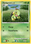 Carte Tortipouss DP01/