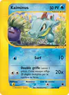 Carte Kaiminus 134/165