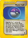 Carte Master ball 143/165