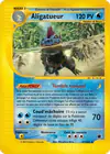 Carte Aligatueur 47/165