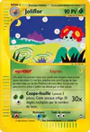 Carte Joliflor 5/147