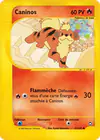 Carte Caninos 51/147