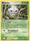 Carte Blindalys 26/109