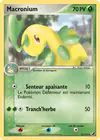 Carte Macronium 35/115