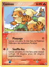 Carte Caninos 55/92