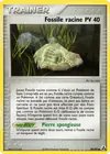 Carte Fossile racine 80/92