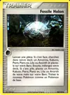 Carte Fossile Holon 86/110