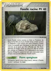 Carte Fossile racine 93/110