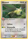 Carte Vibraninf 40/108