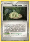 Carte Fossile racine 86/108