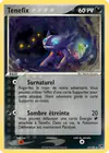 Carte Tenefix 10/100