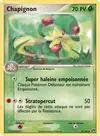 Carte Chapignon 33/100