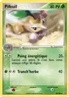 Carte Pifeuil 48/100