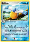 Carte Bekipan 50/100