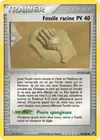 Carte Fossile racine 92/100