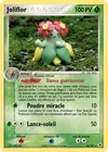 Carte Joliflor 16/101