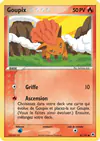 Carte Goupix 81/101