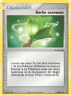 Carte Herbe sauveuse 90/101