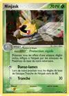 Carte Ninjask 13/107