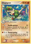 Carte Chapignon 3/107