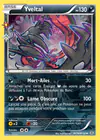 Carte Yveltal RC16/RC32