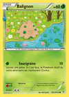 Carte Balignon RC2/RC32