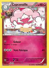 Carte Cupcanaille RC20/RC32