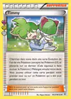 Carte Timmy RC27/RC32